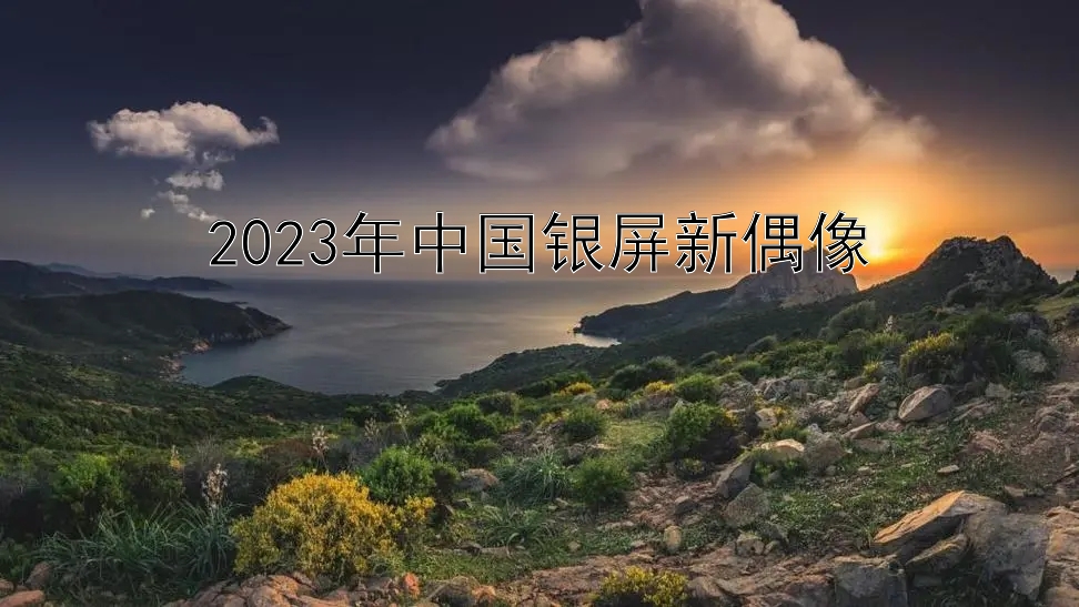 2023年中国银屏新偶像