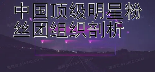 中国顶级明星粉丝团组织剖析