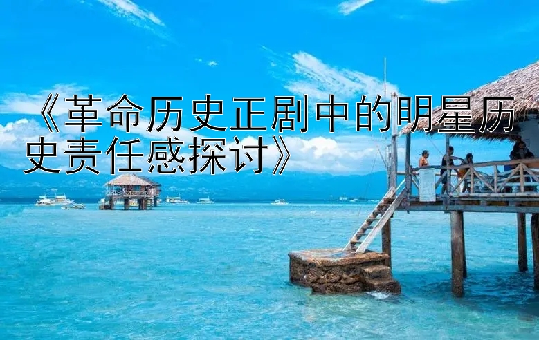 《革命历史正剧中的明星历史责任感探讨》