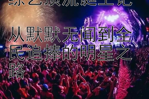 综艺顶流诞生记  
从默默无闻到全民追捧的明星之路